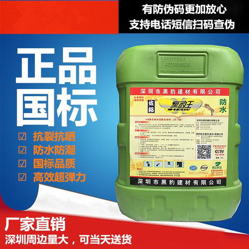 瑞智黑豹JS防水涂料 廚房、衛生間、水池及泳池防潮防漏的環保解決方案